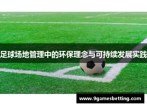 足球场地管理中的环保理念与可持续发展实践
